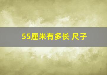 55厘米有多长 尺子